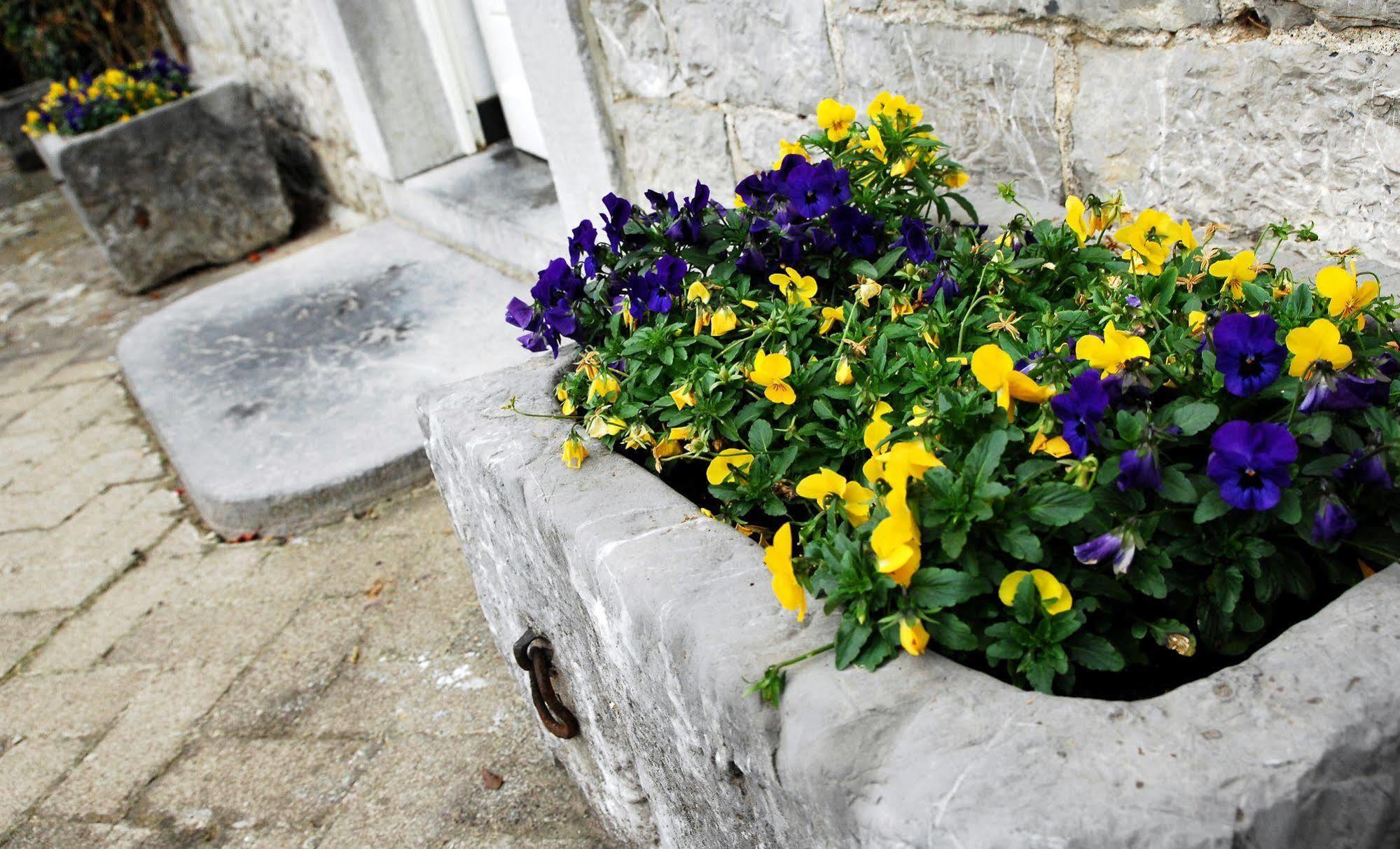 B&B La Buissonniere Xhoris Zewnętrze zdjęcie